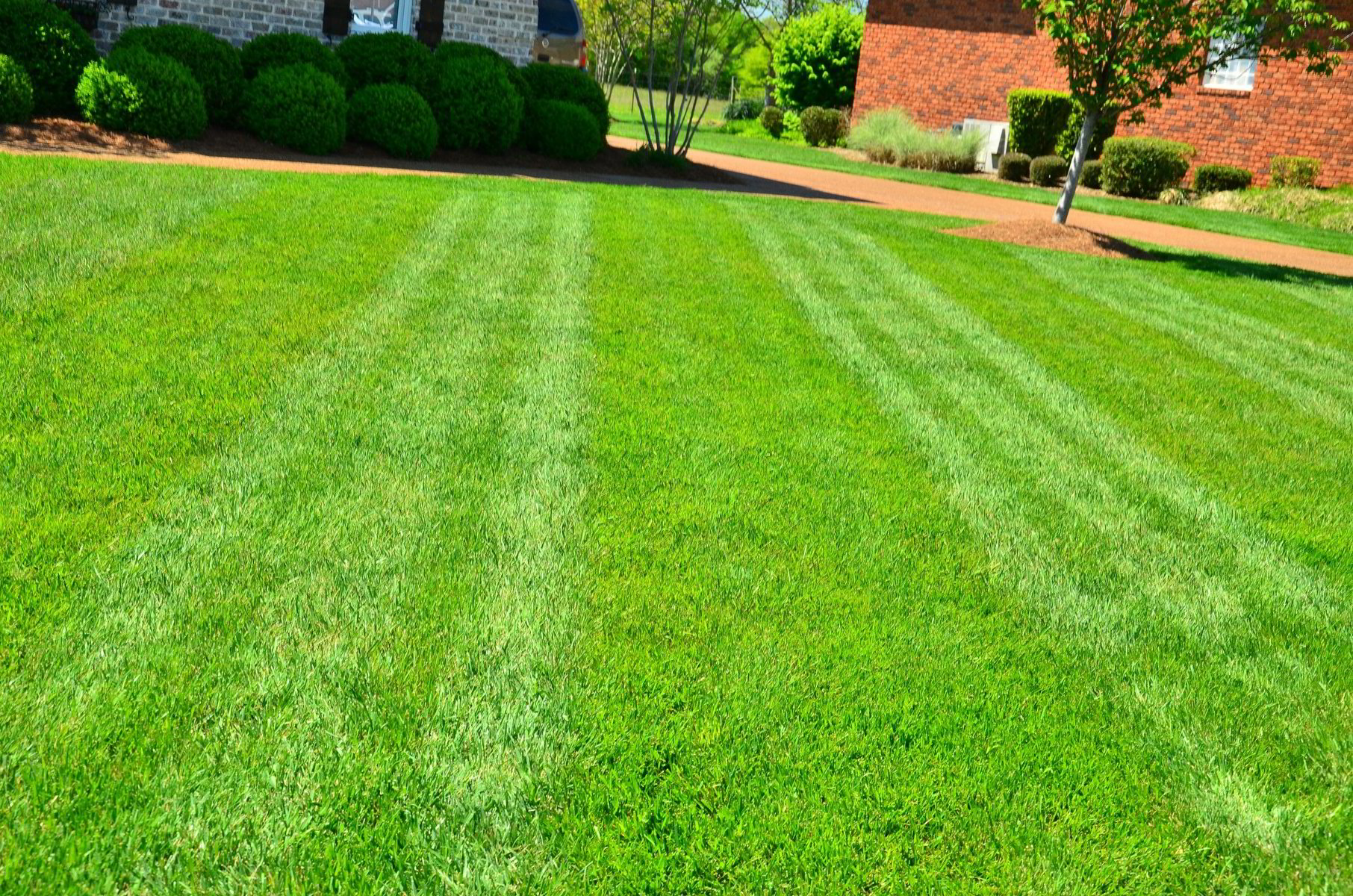 Green Grass Valdosta's Best Landscaping and Irrigation Services - Weeks Landscaping